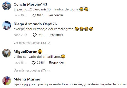 Reacción al perro que robó el micrófono a una reportera