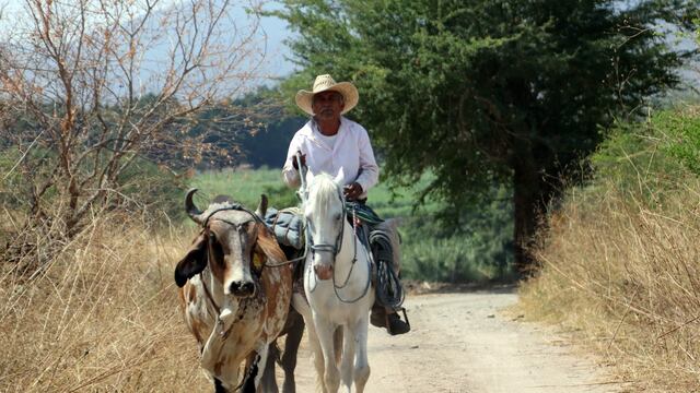 El campesino empezó haciendo la oración y pidió la lluvia con un buey como sacrificio, pero no siendo de él sino de su compadre.