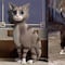 ¿Los animales tienen emociones? Una escena post créditos en Intensamente lo representa en perros y gatos