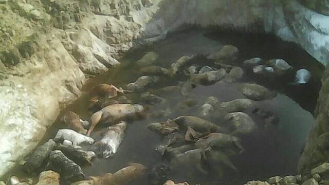 Tiradero clandestino.