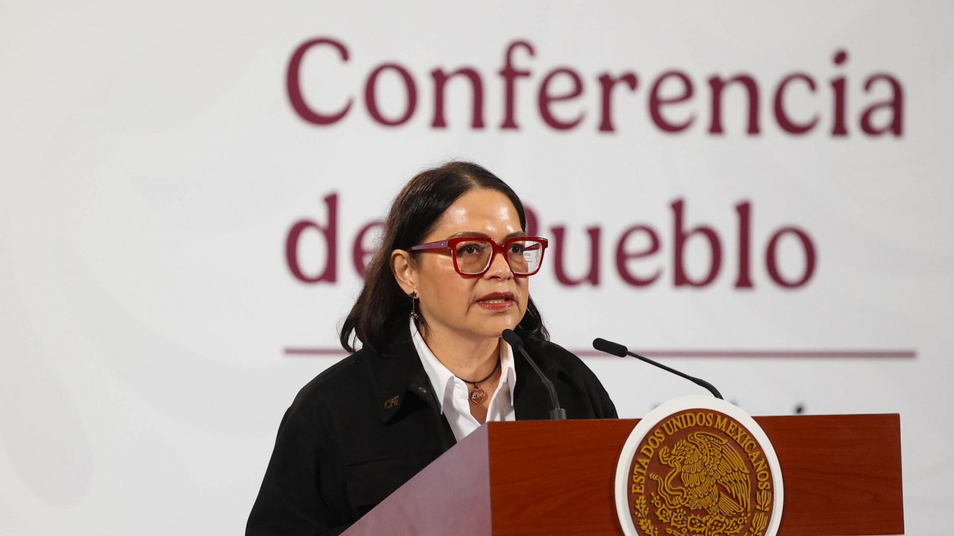 Emilia Esther Calleja Alor: los rumores sobre su eventual relevo en la CFE