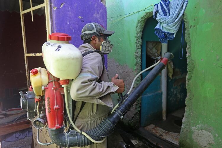 Fumigación por dengue en Jalisco