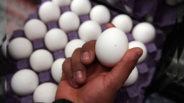 Comisión Federal de Competencia investiga posibles prácticas monopólicas en mercado del huevo