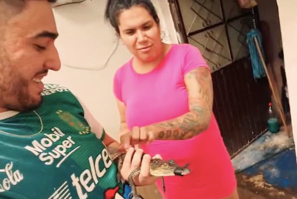 Kimberly La Más Preciosa y Óscar Barajas adquieren lagarto
