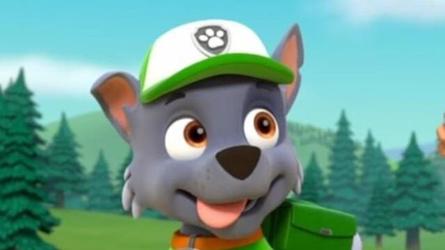 Rocky de Paw Patrol