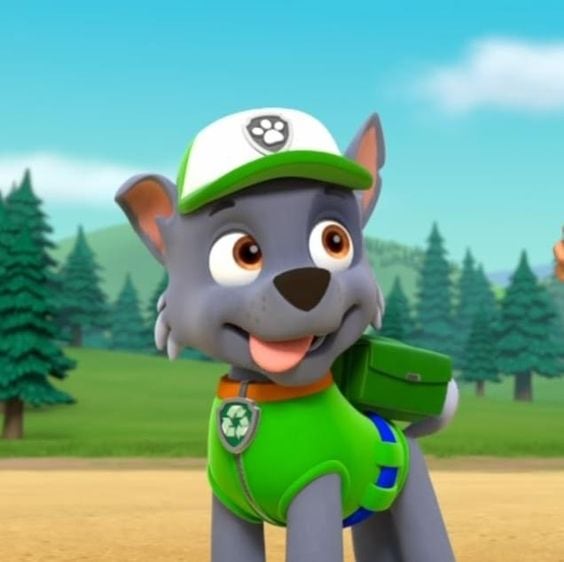 Rocky de Paw Patrol
