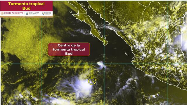 Tormenta tropical Bud hoy 24 de julio 2024: sigue su trayectoria en vivo