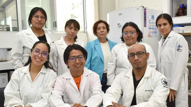 BUAP evalúa extractos de hojas de pápalo y pipicha