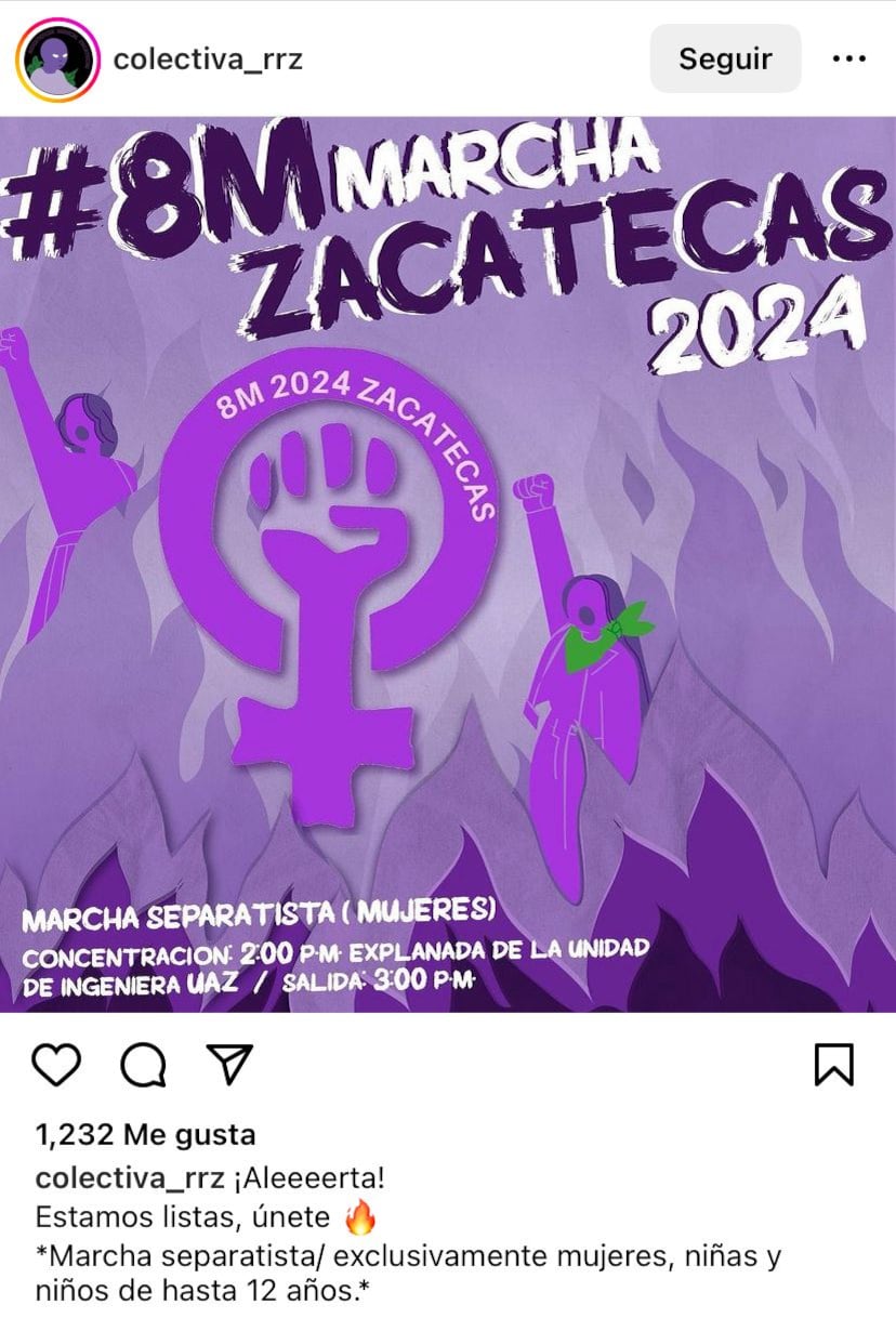Marcha 8 de marzo 2024 en otros estados