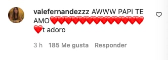 Comentario de Valentina Fernández