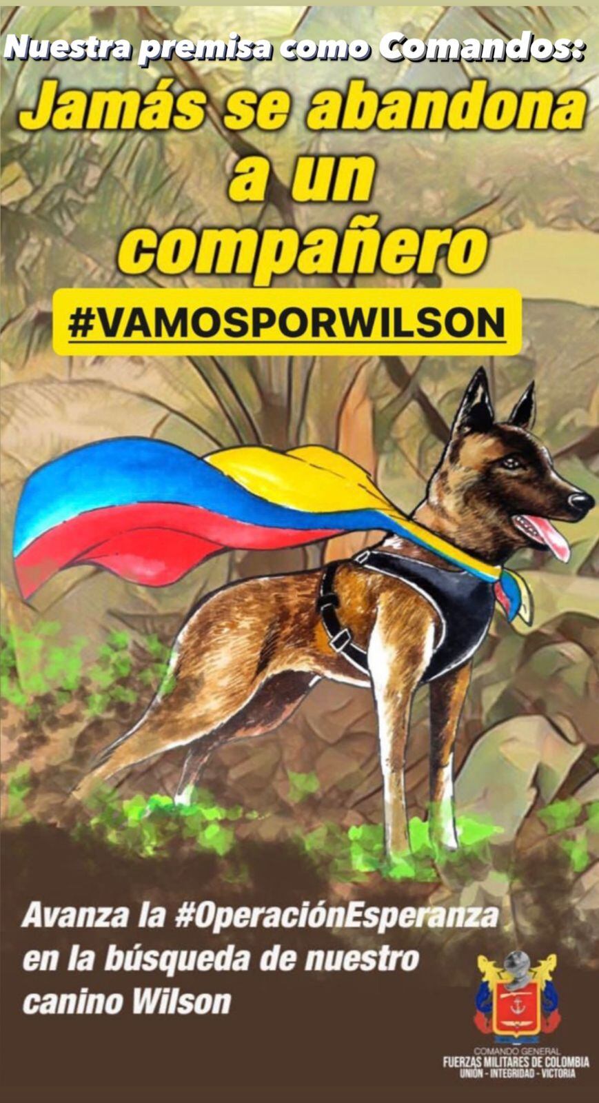 Wilson, el perro rescatista perdido en la selva de Colombia.