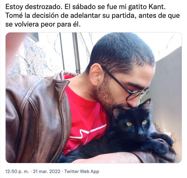 Tuit sobre la muerte del gatito