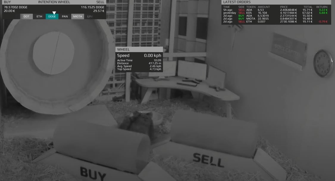 Mr. Goxx trabajando en la compraventa de criptomonedas.