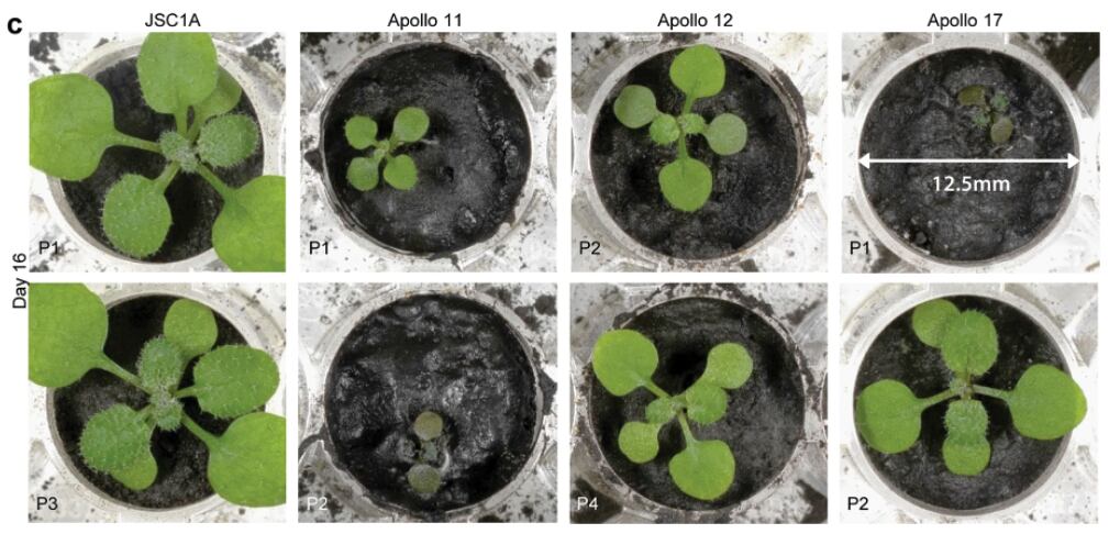 Prueba regolito lunar