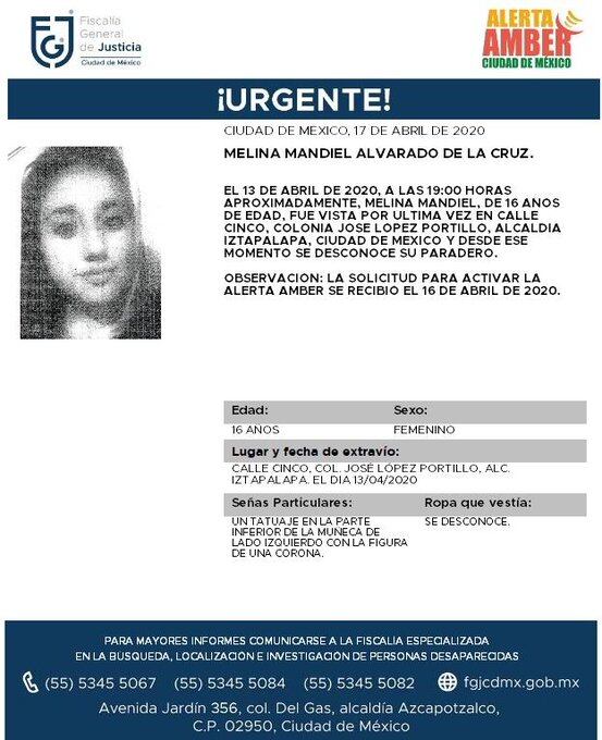 Ficha de búsqueda de Melina.