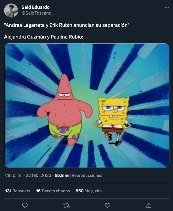 Meme de la separación de Andrea Legarreta y Erik Rubín