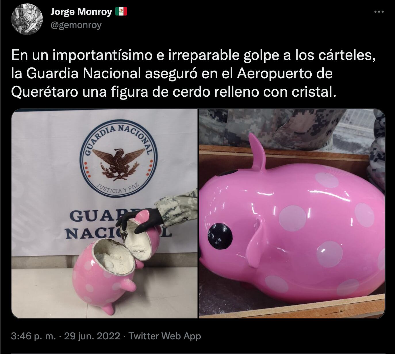 Binomios caninos de la Guardia Nacional encuentran droga dentro de una figura de cerdito