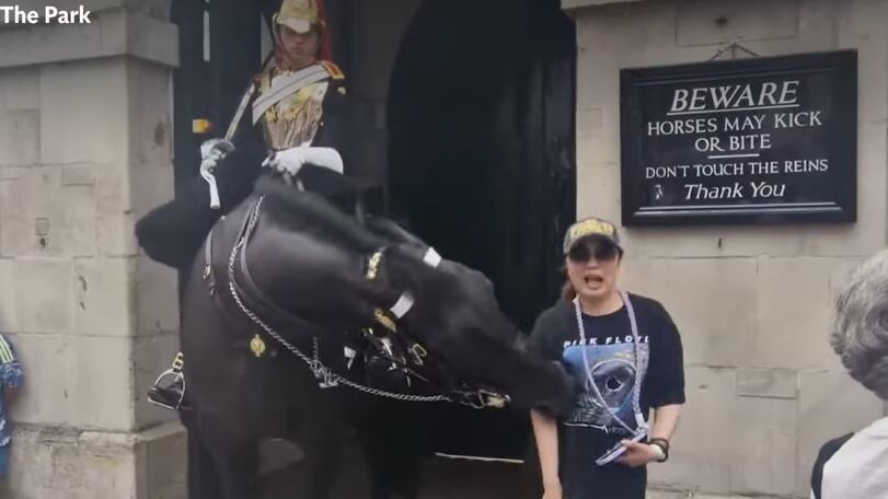 caballo de la Guardia Real