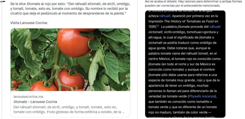 ¿Tomate o Jitomate? Debate