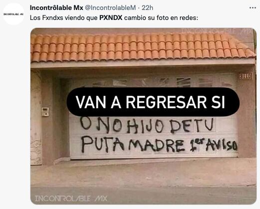 Regreso de PXNDX memes