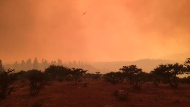 Incendio forestal en Chile