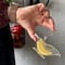 ¿Cuánto cuesta el pajarito exprimidor de limones que es viral en TikTok? Te decimos dónde comprarlo
