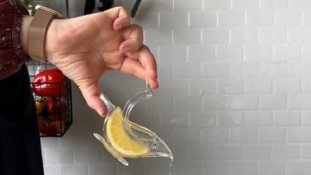 Pajarito exprimidor de limones viral en TikTok