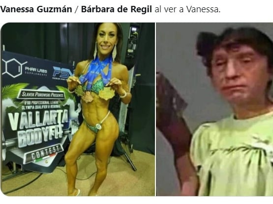 Memes sobre Vanessa Guzmán y Bárbara de Regil