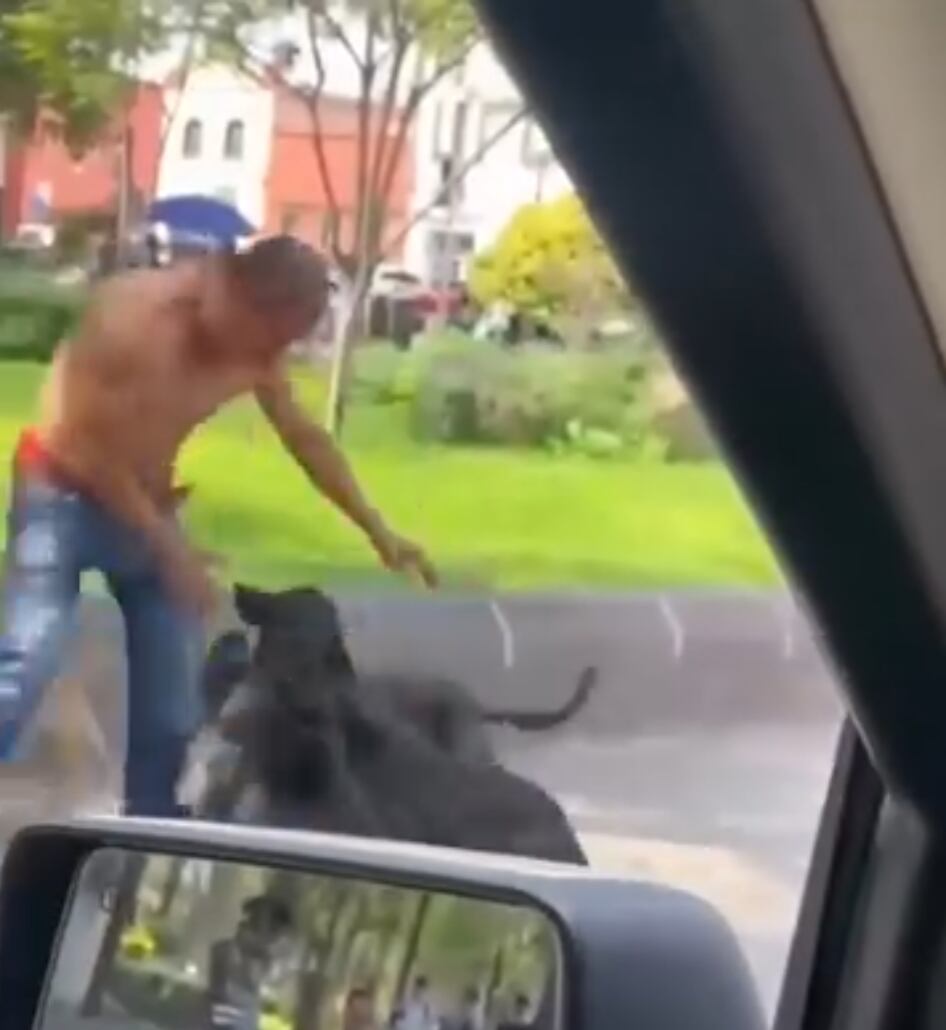 Perros se le fueron encima a hombre que retó a pelear a su dueño