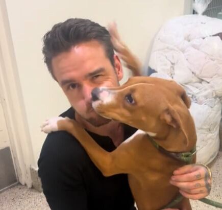 Liam Payne y su 'hija adoptiva'