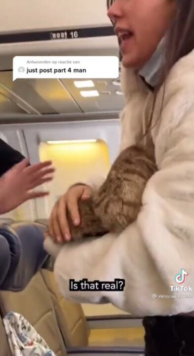 Mujer amanta a un gato en pleno vuelo