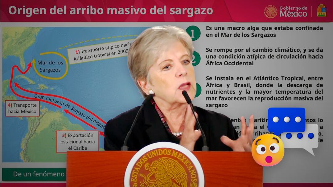 El origen del sargazo en Quintana Roo: esto explicó Alicia Bárcena