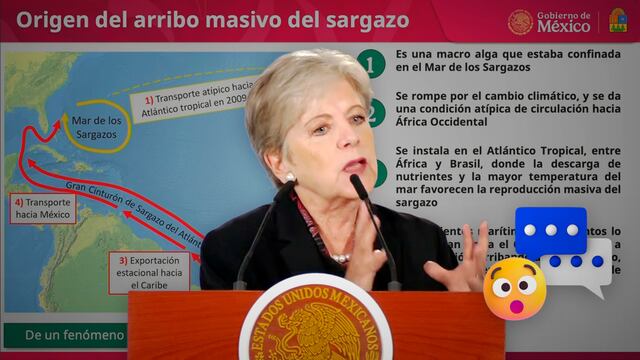 Alicia Bárcena explicó el origen del sargazo