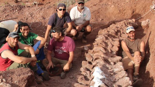 Descubrimiento de dinosaurio que podría ser el más grande