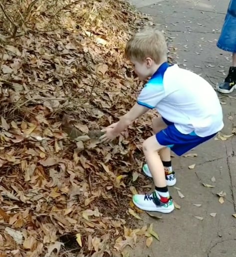 Ardilla ataca a niño en el zoológico