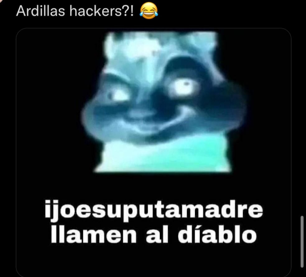 Ardillas en Ciudad Universitaria de la UNAM