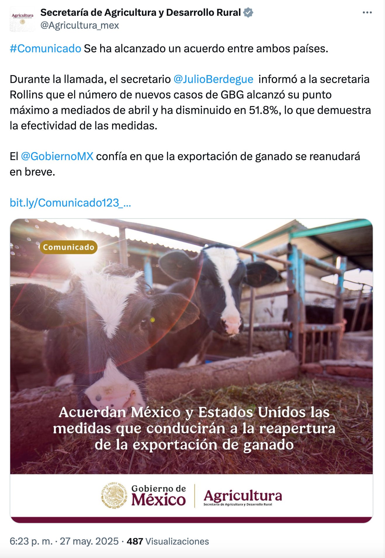 Gusano barrenador