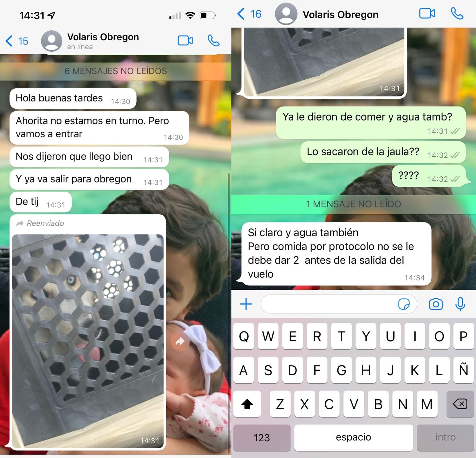 Denuncia maltrato a su perro viajando en Volaris