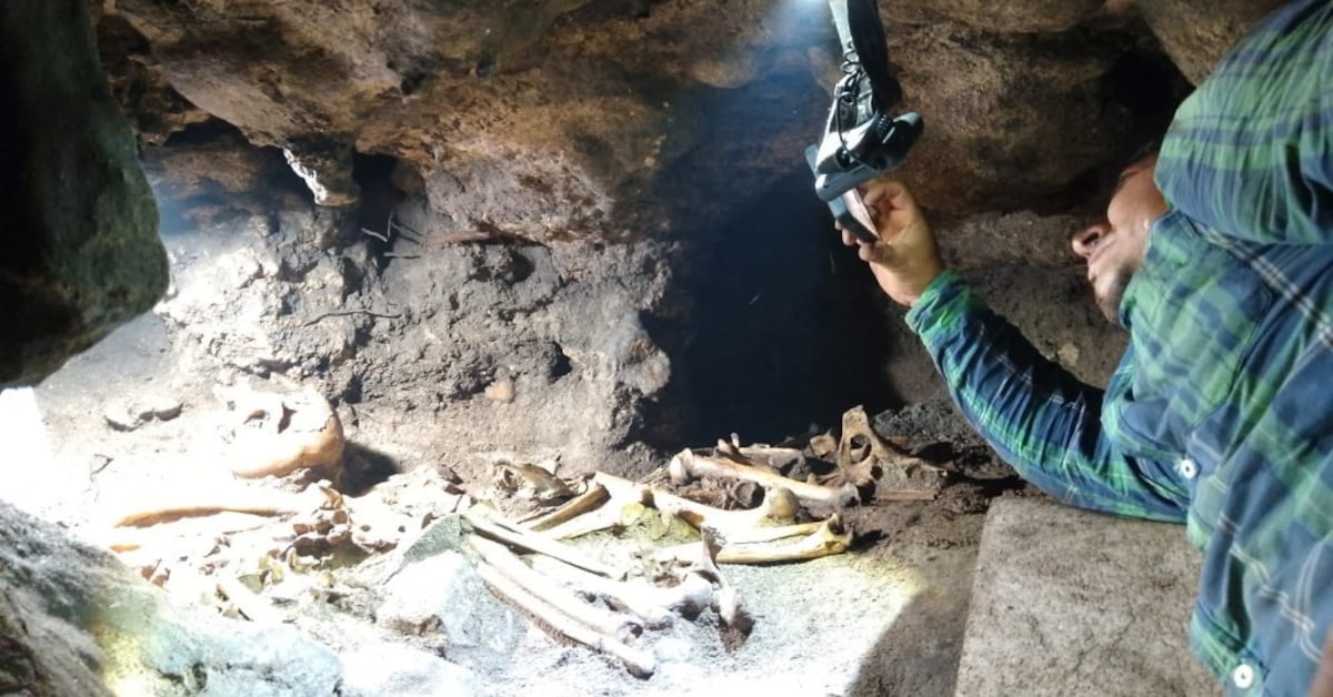 El increíble hallazgo en Tulum dentro de una cueva tapada con una roca
