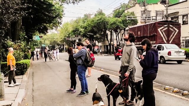 Alerta sísmica es activada por error