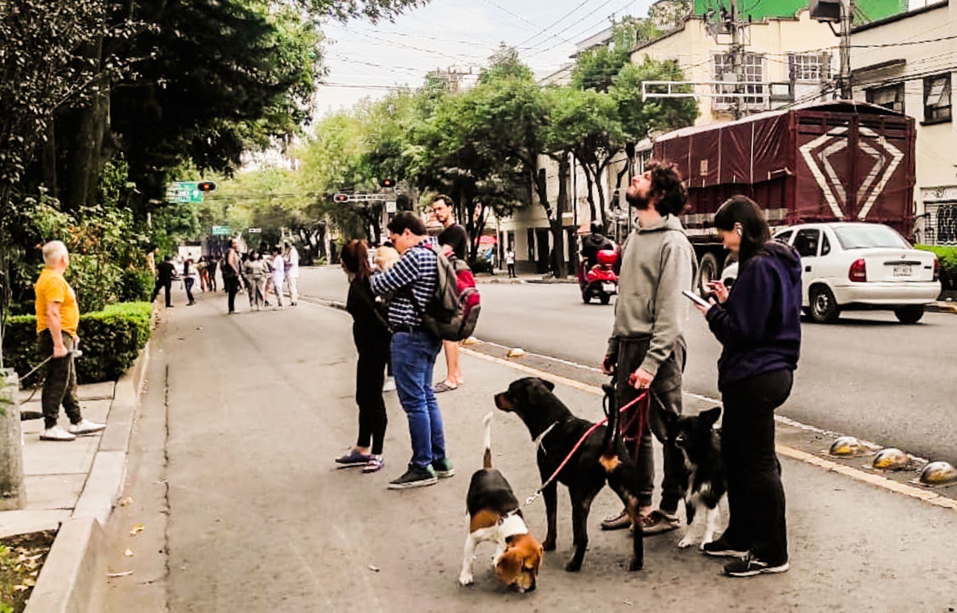 Alerta sísmica es activada por error