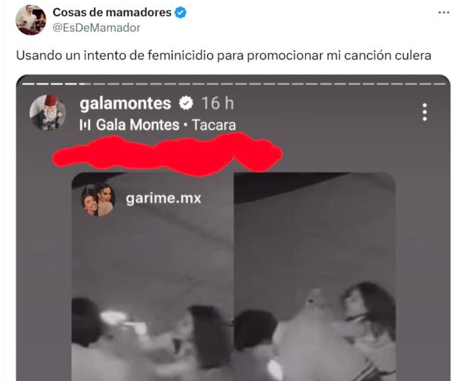 En Twitter tunden a Gala Montes
