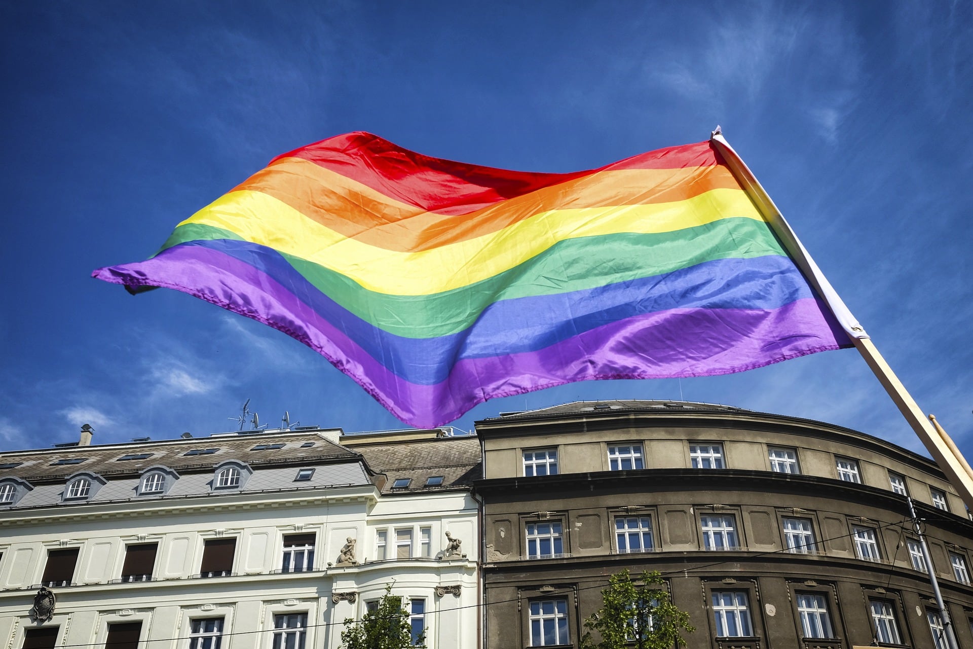 Conoce en qué estados es legal el matrimonio igualitario, en los cuales casi todo México lo permite.