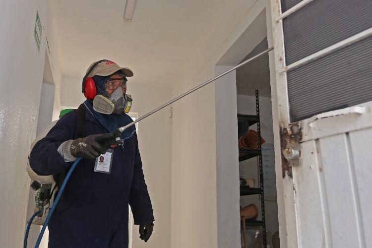 Fumigación por dengue