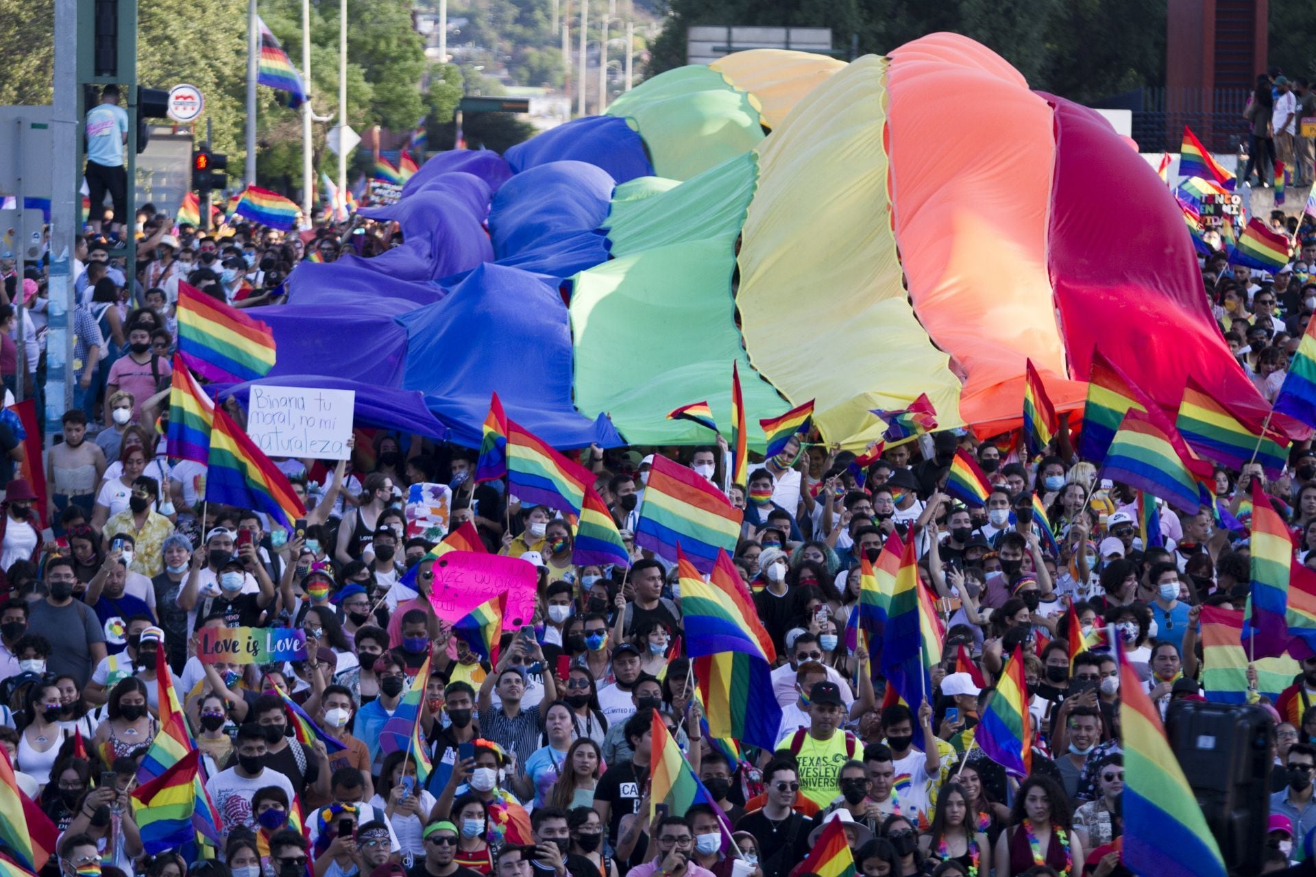 Marcha LGBT