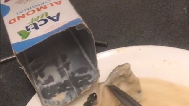 Mujer muestra a un animal marino en cartón de leche de almendras