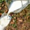 Las 5 mejores marcas de leche según Profeco
