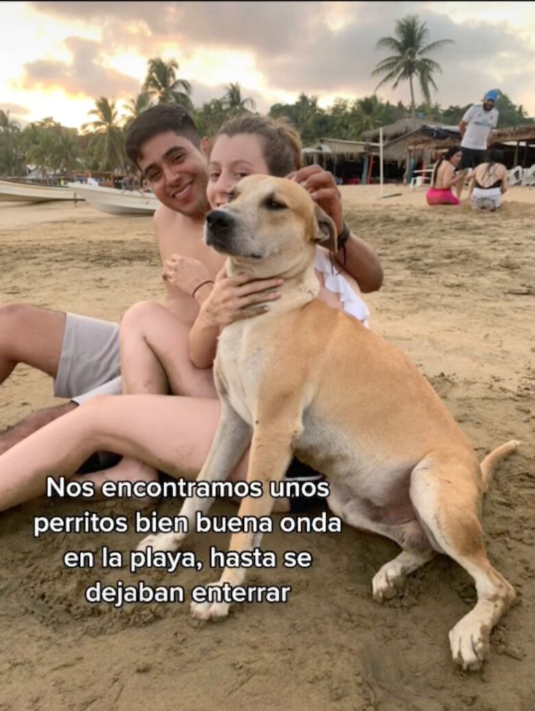 Perrito en la playa