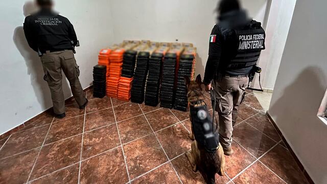 Hallan más de una tonelada de cocaína escondida en pared de una casa en Pachuca