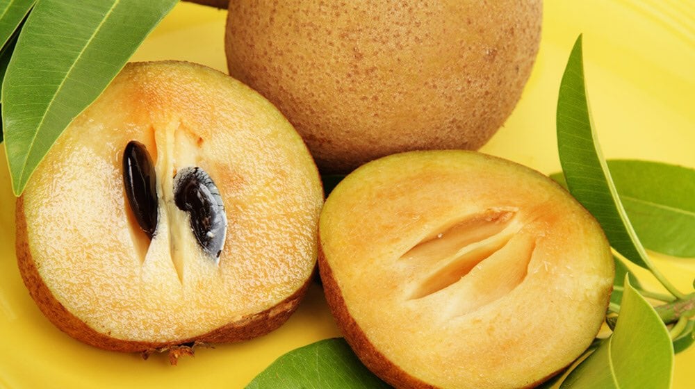 Fruto del chicozapote